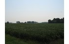 Property photo 6 - 192.5+/- Acres Offered in 3 Tracts